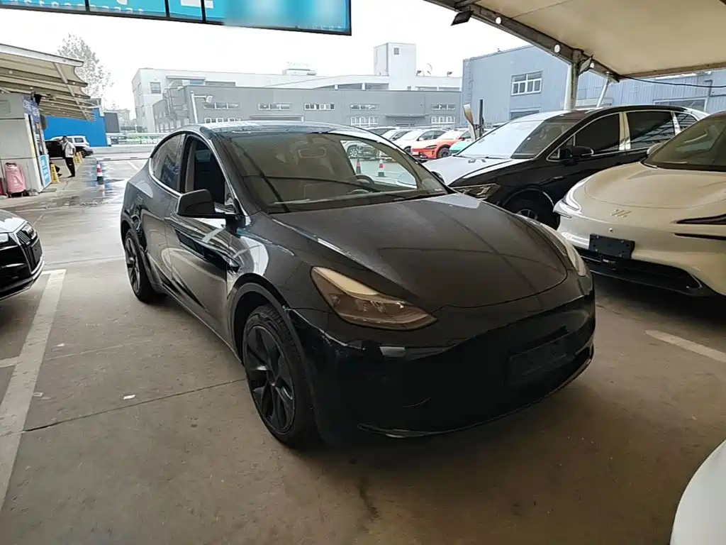 Tesla Model Y — фото 4