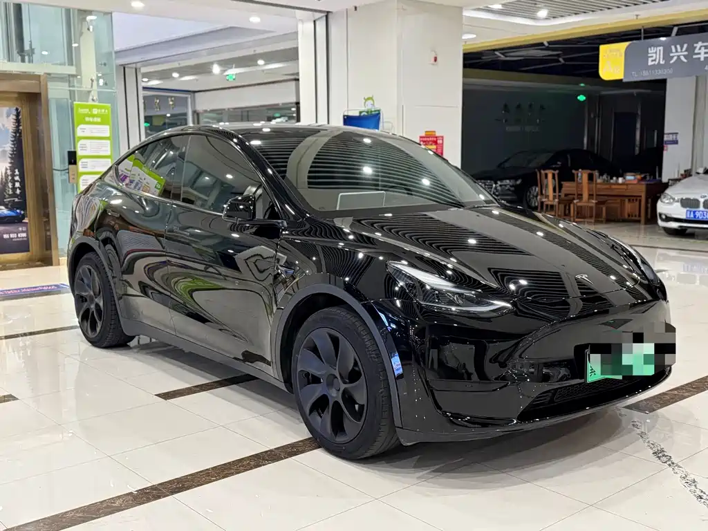 Tesla Model Y — фото 3