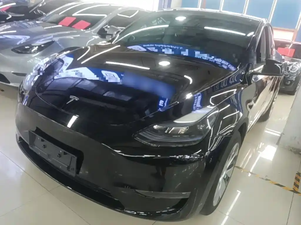 Tesla Model Y — фото 2