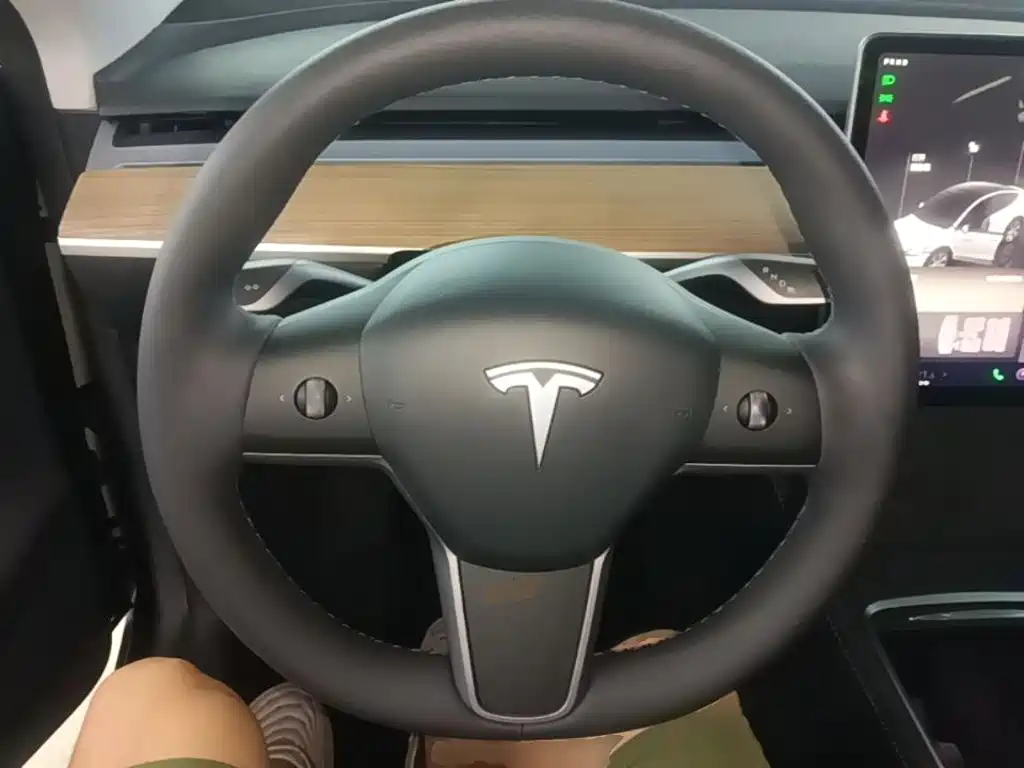Tesla Model Y — фото 11