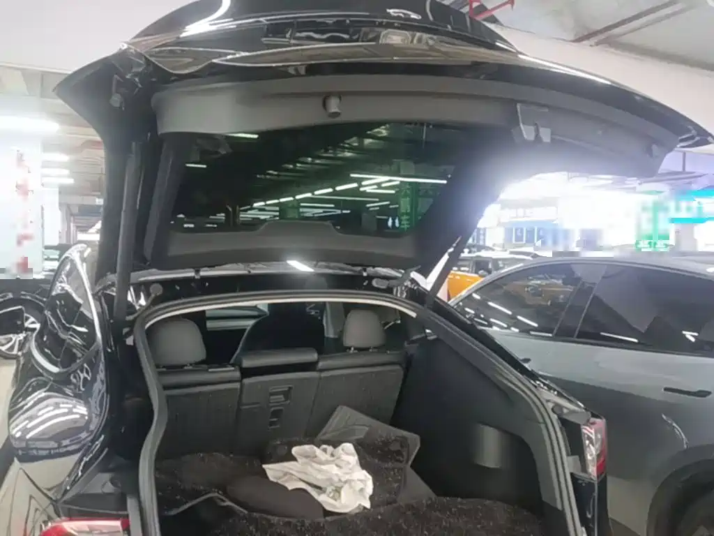 Tesla Model Y — фото 19