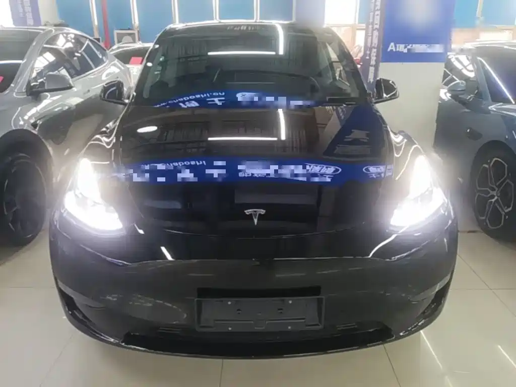Tesla Model Y — фото 3
