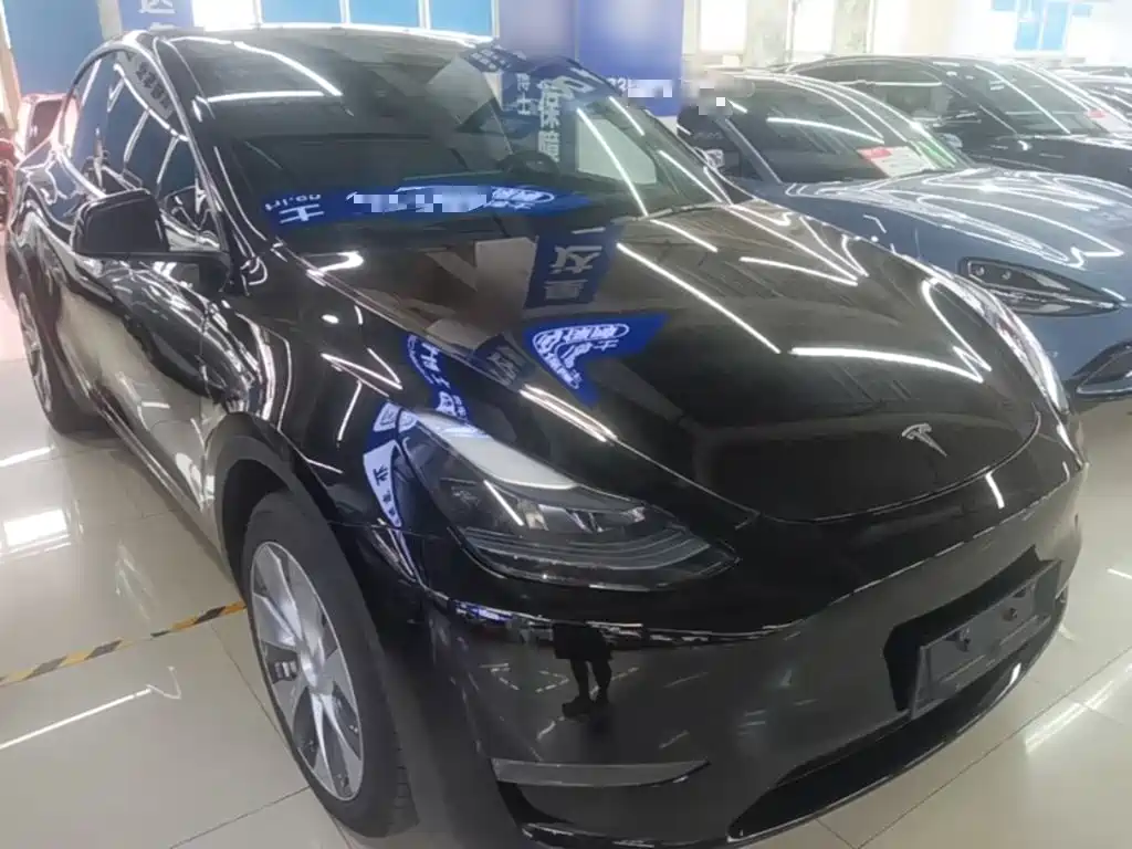 Tesla Model Y — фото 4