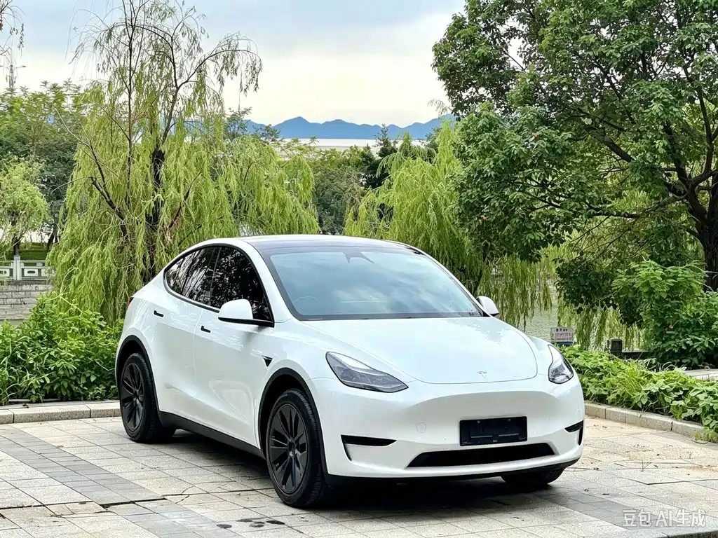 Tesla Model Y — фото 3
