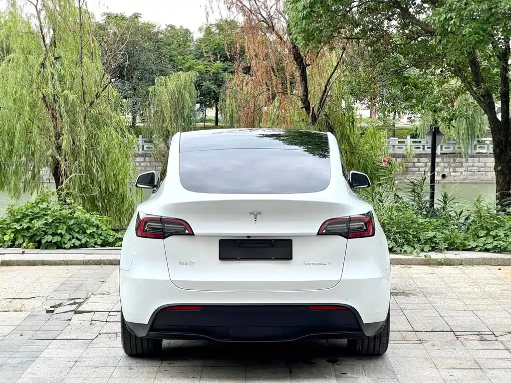 Tesla Model Y — фото 8
