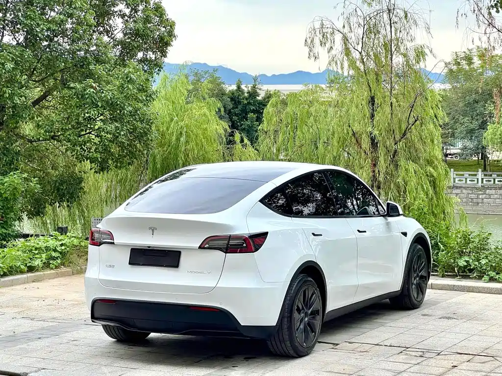 Tesla Model Y — фото 9