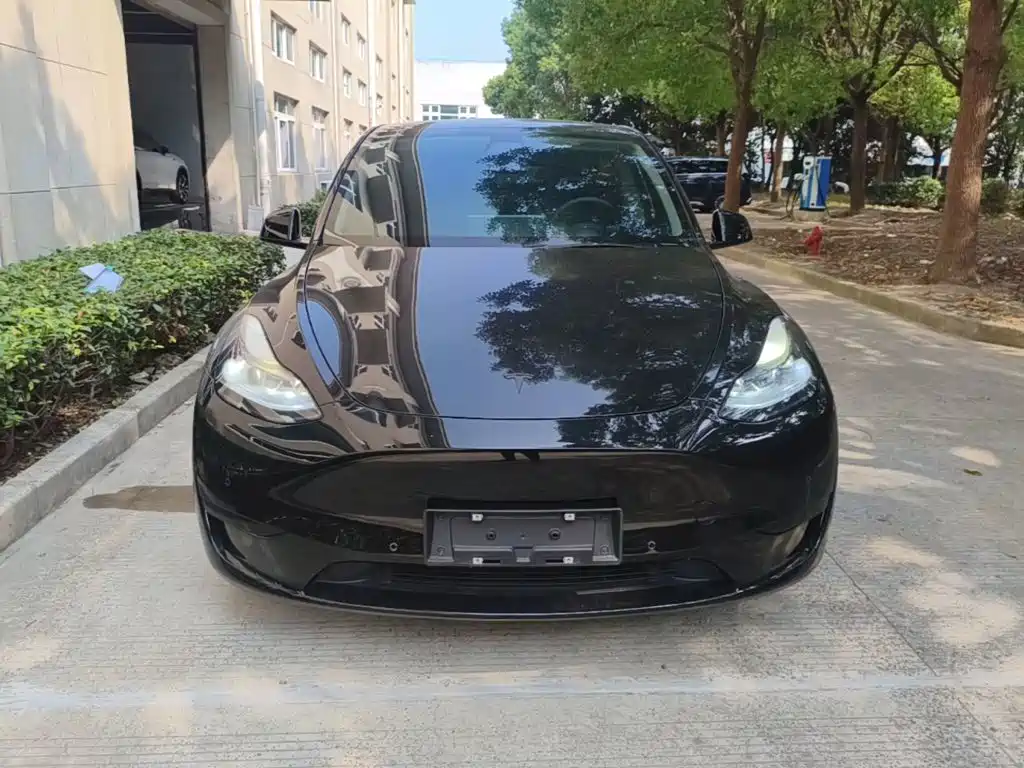 Tesla Model Y — фото 3