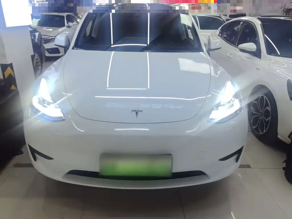 Tesla Model Y — фото 3