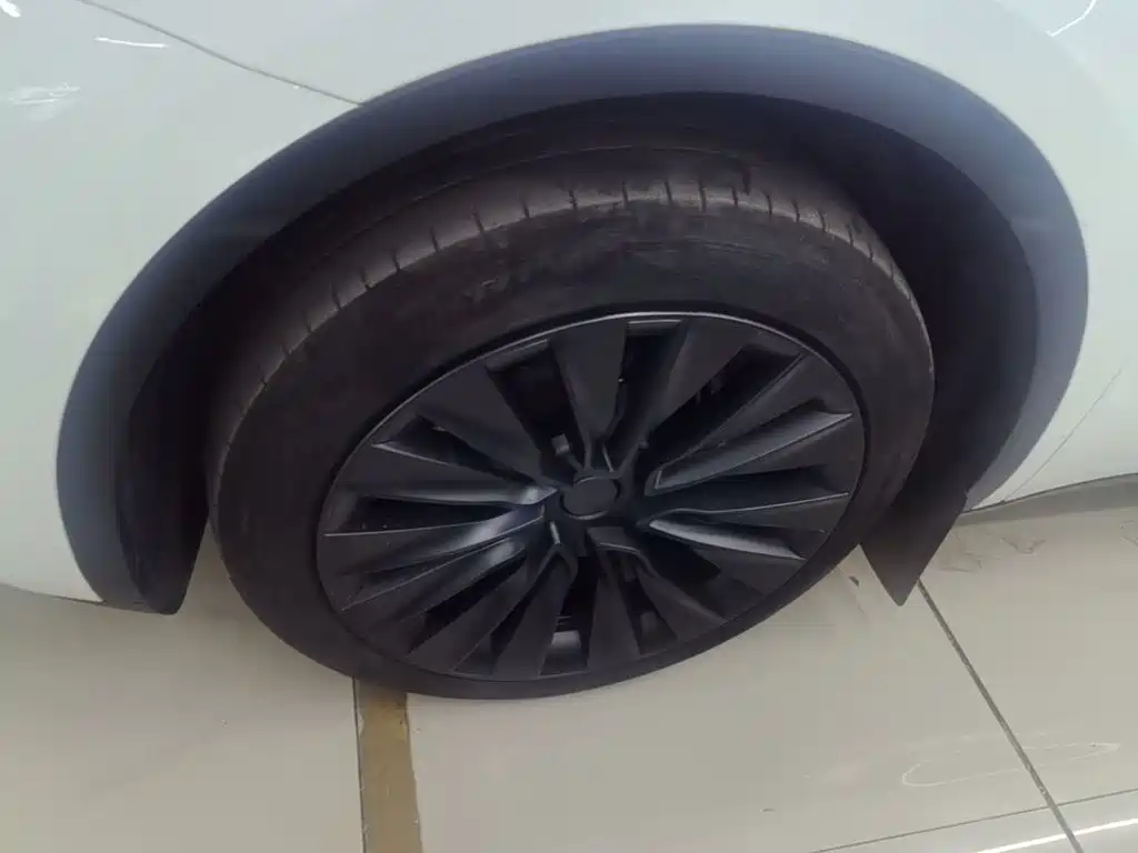 Tesla Model Y — фото 23