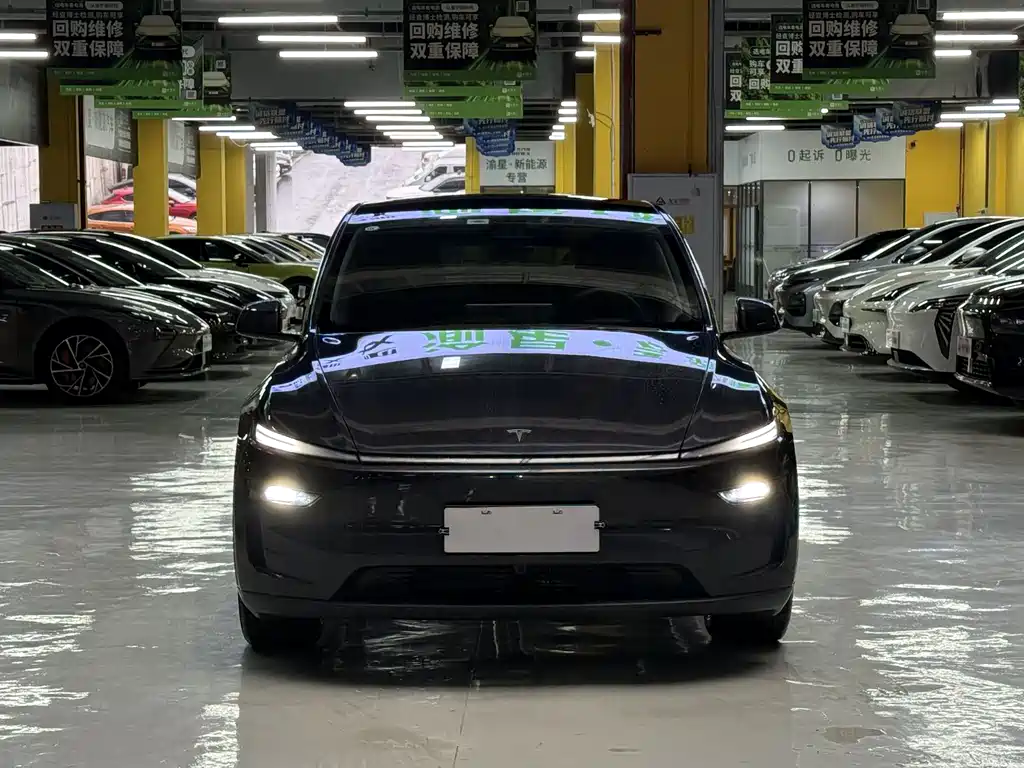 Tesla Model Y — фото 2