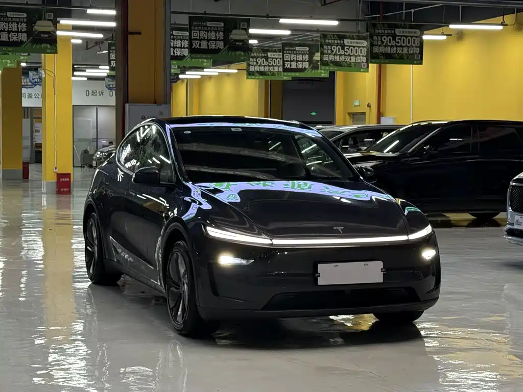 Tesla Model Y — фото 3