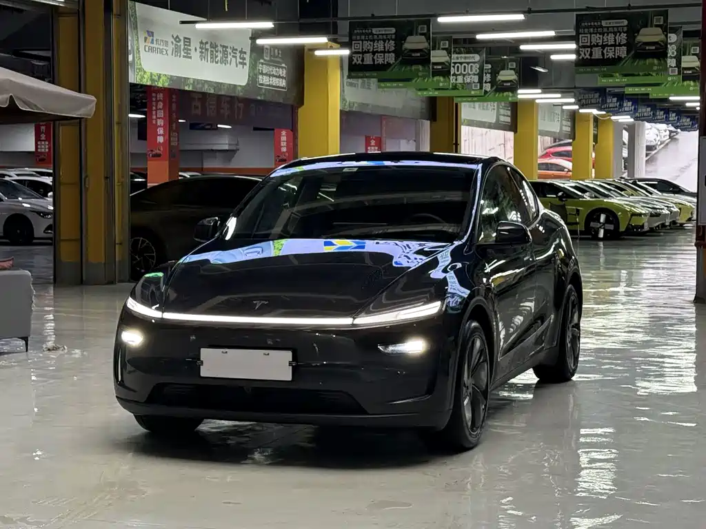 Tesla Model Y — фото 1