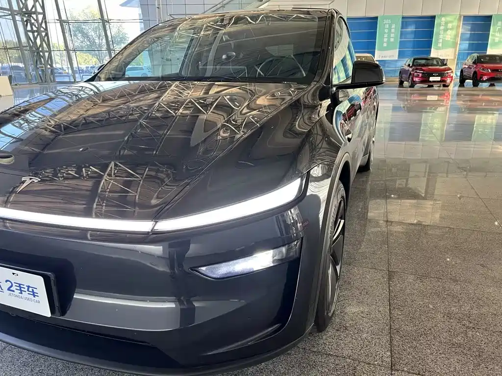Tesla Model Y — фото 29