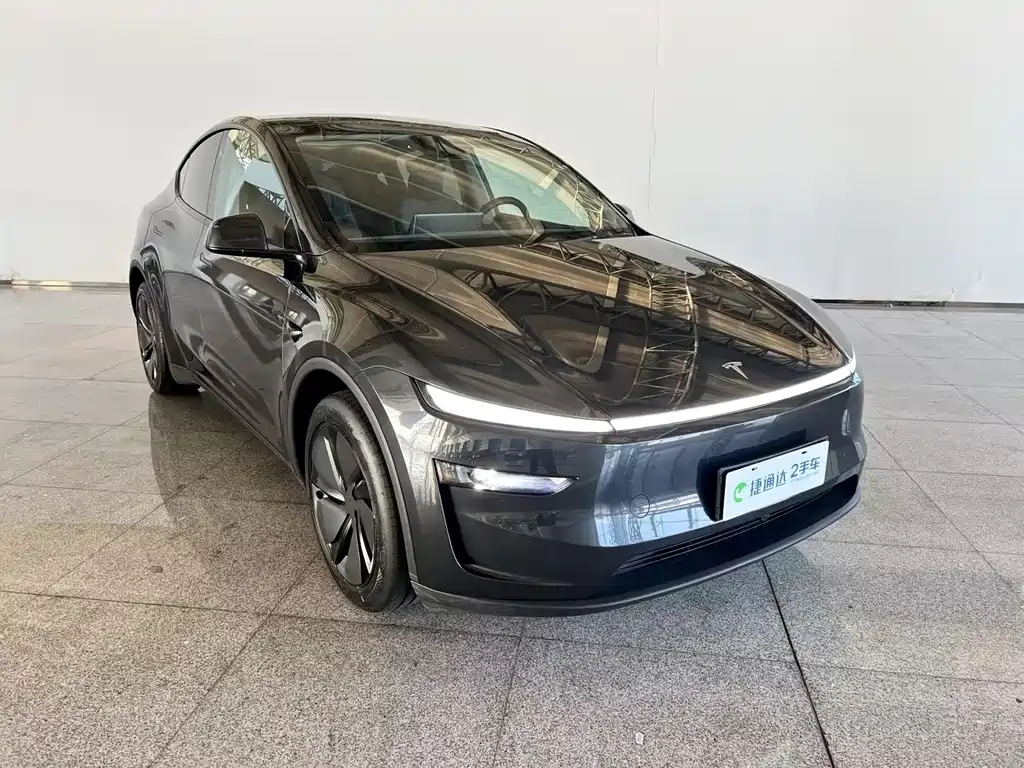 Tesla Model Y — фото 6