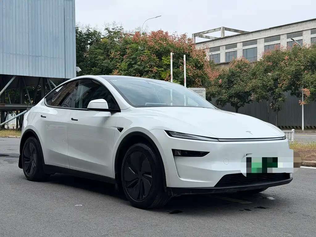 Tesla Model Y — фото 3
