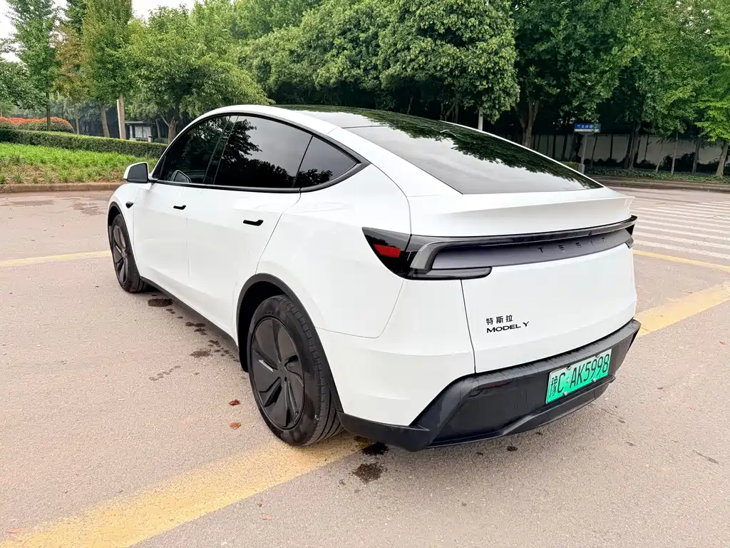 Tesla Model Y — фото 8