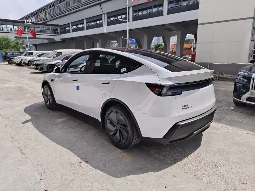 Tesla Model Y — фото 9