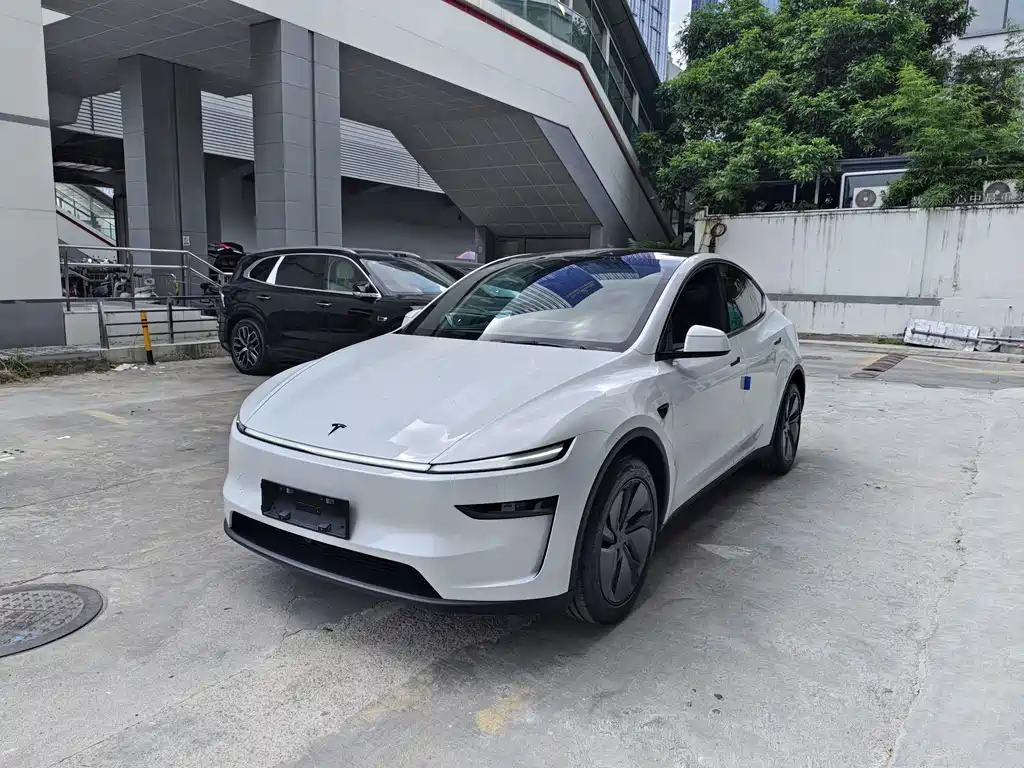 Tesla Model Y — фото 1