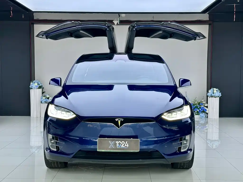 Tesla Model X — фото 2
