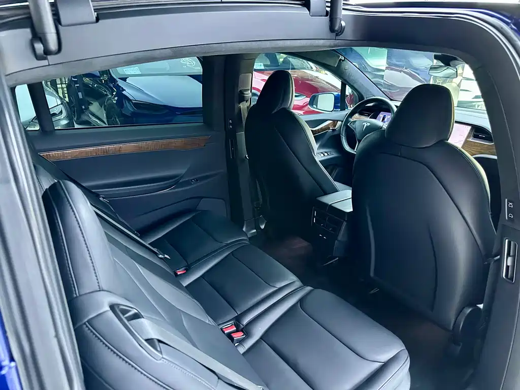 Tesla Model X — фото 11