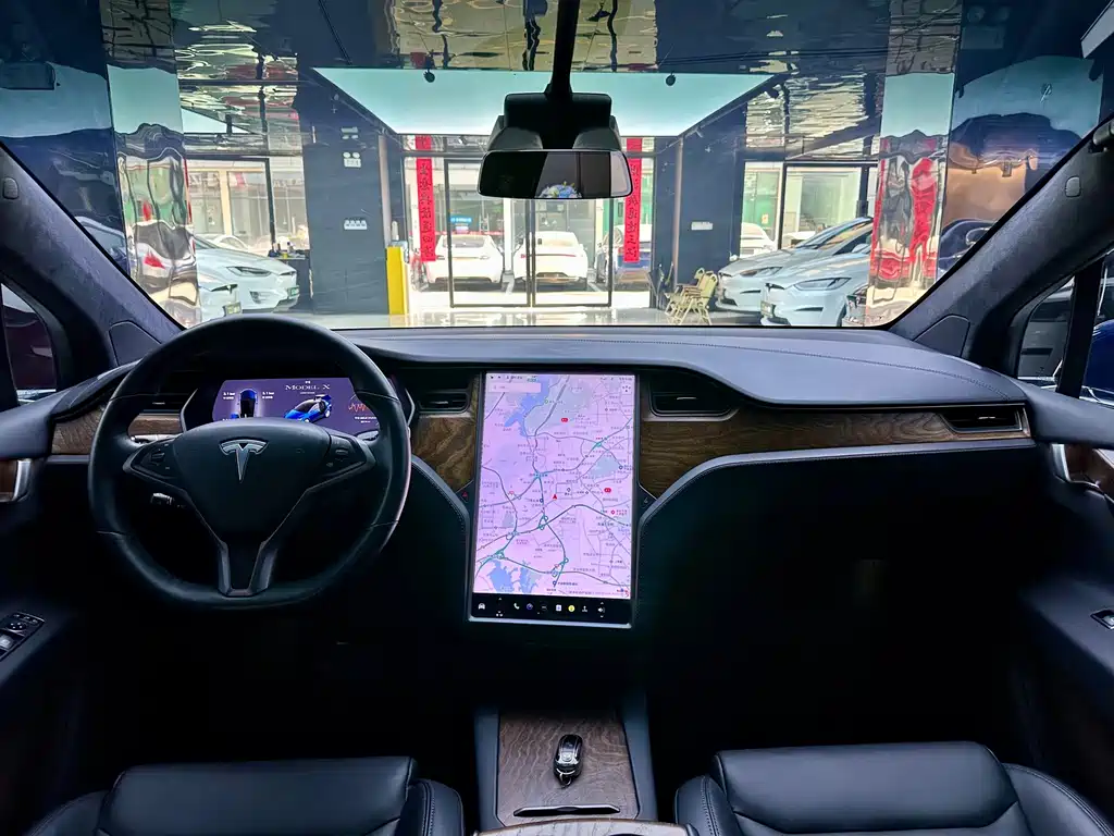 Tesla Model X — фото 13