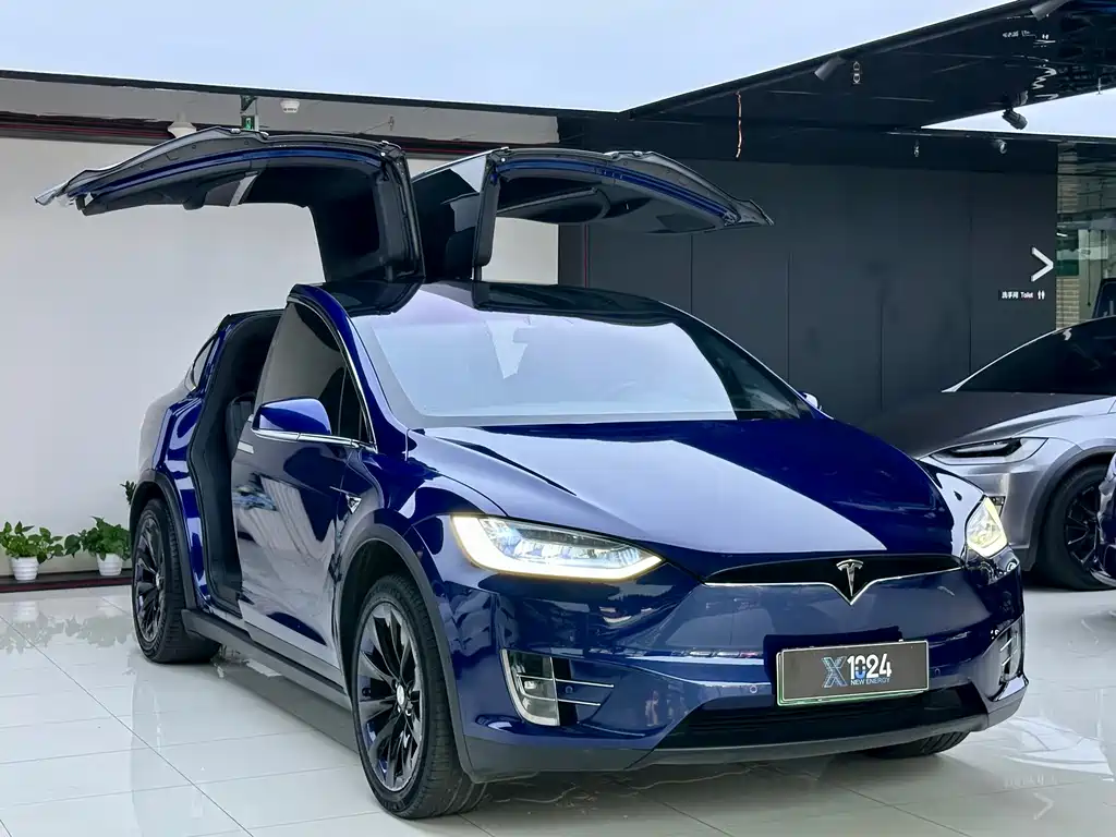 Tesla Model X — фото 3