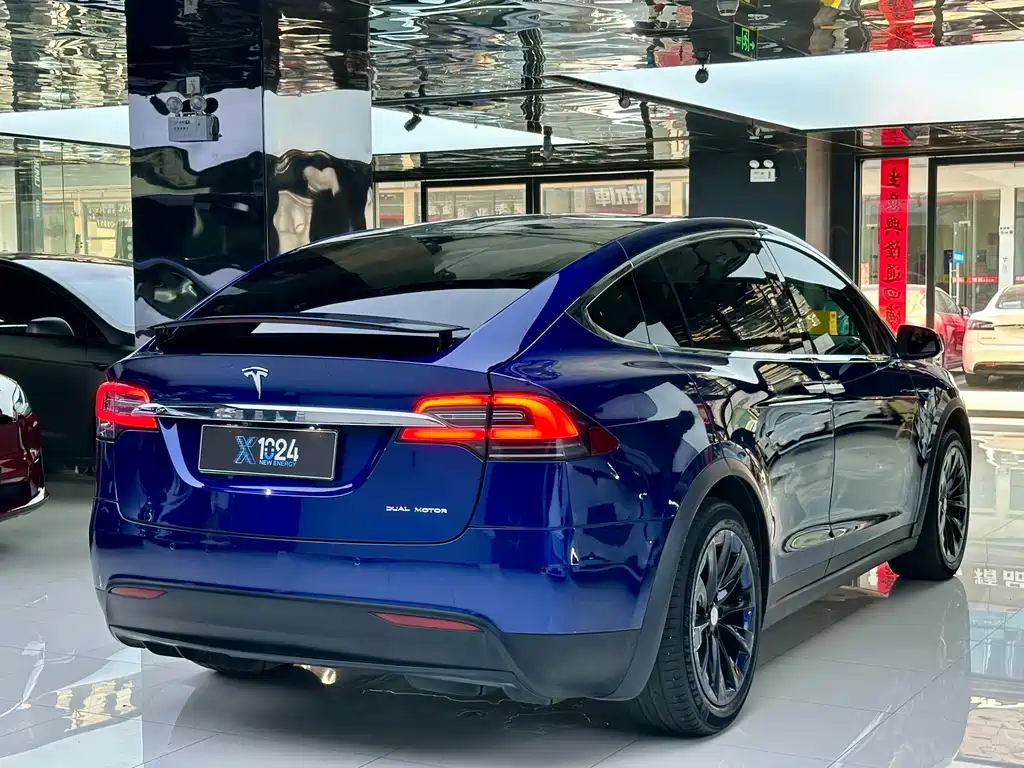 Tesla Model X — фото 4