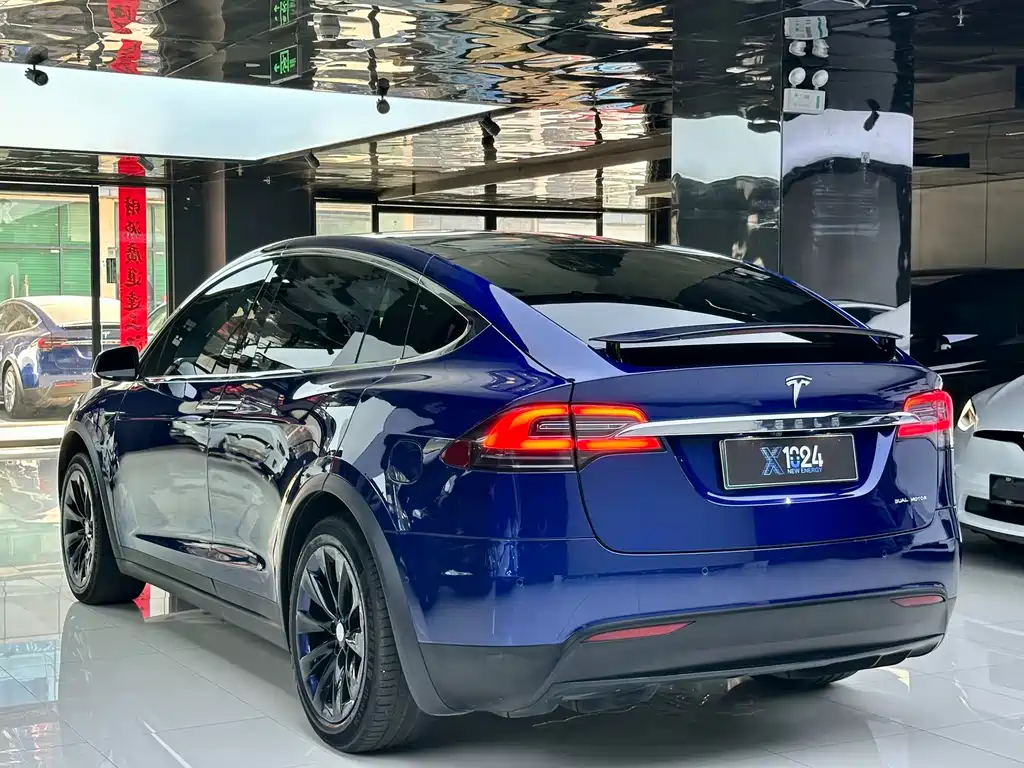 Tesla Model X — фото 6