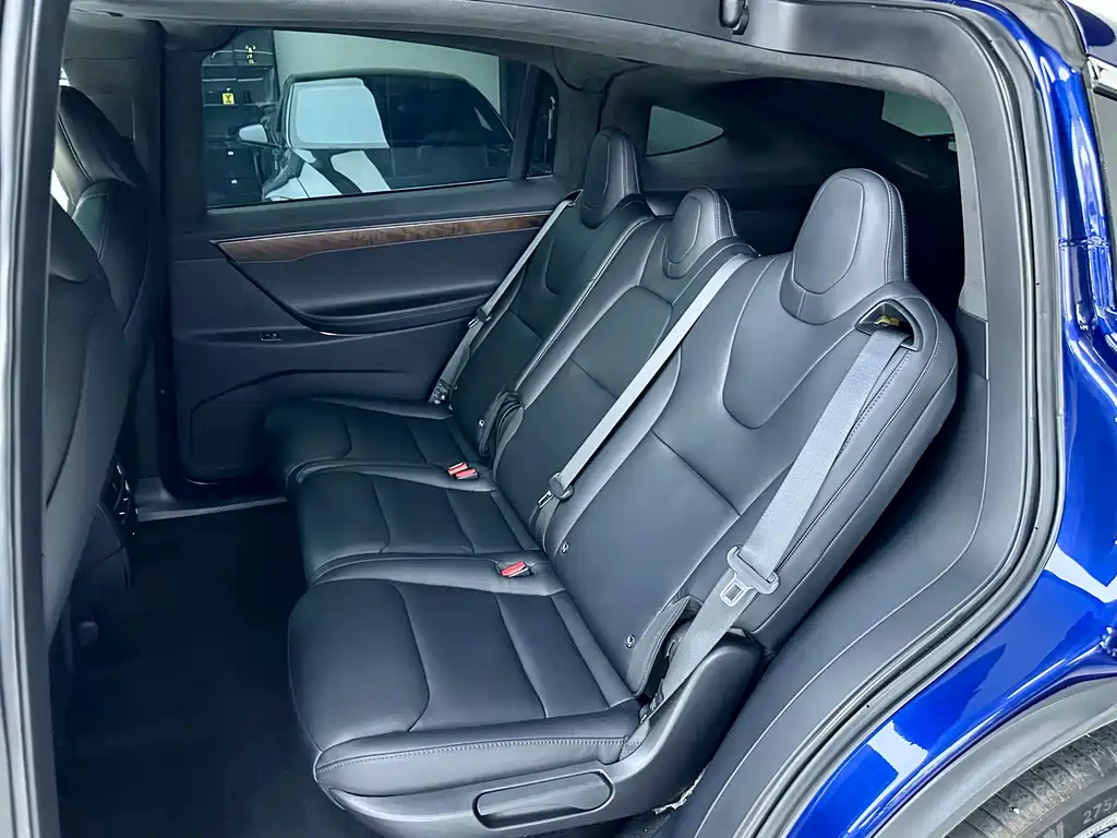 Tesla Model X — фото 9