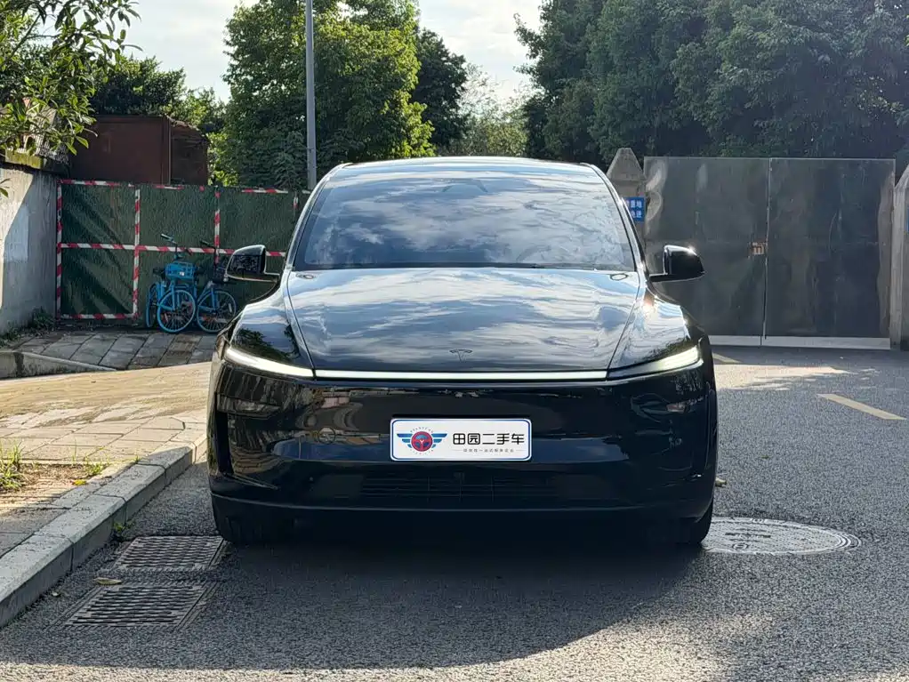 Tesla Model Y — фото 2