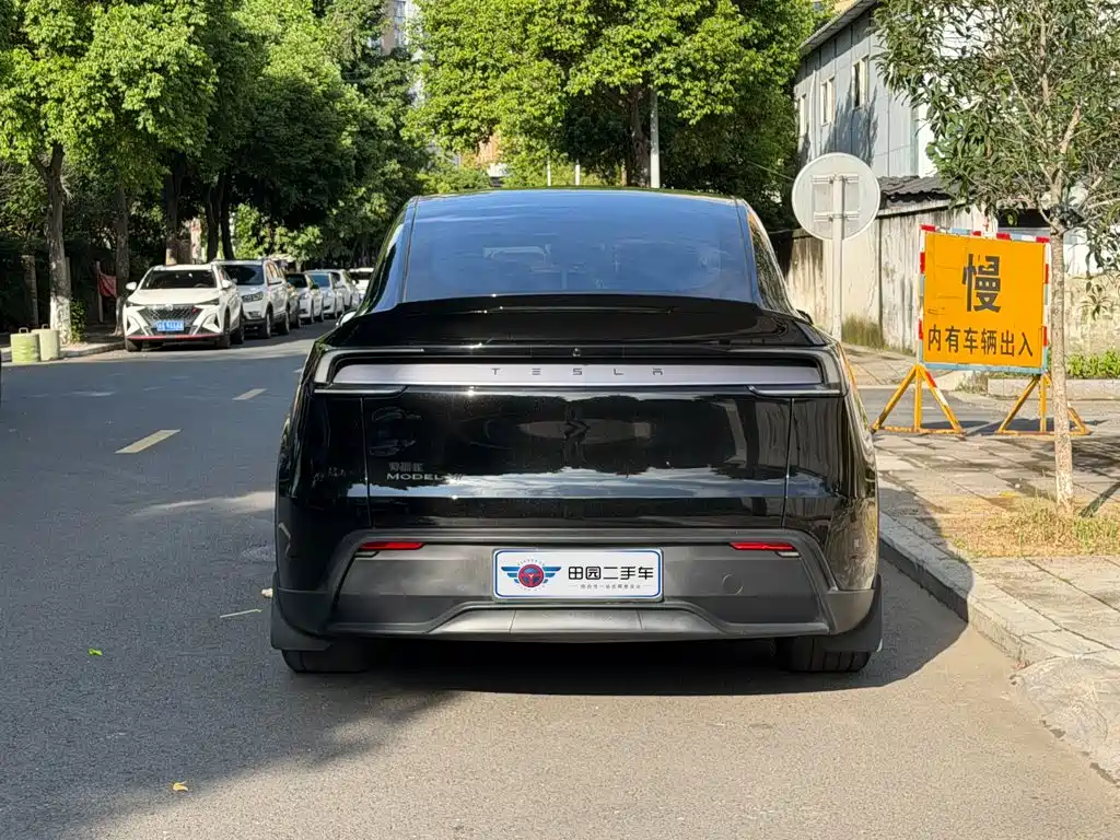 Tesla Model Y — фото 5