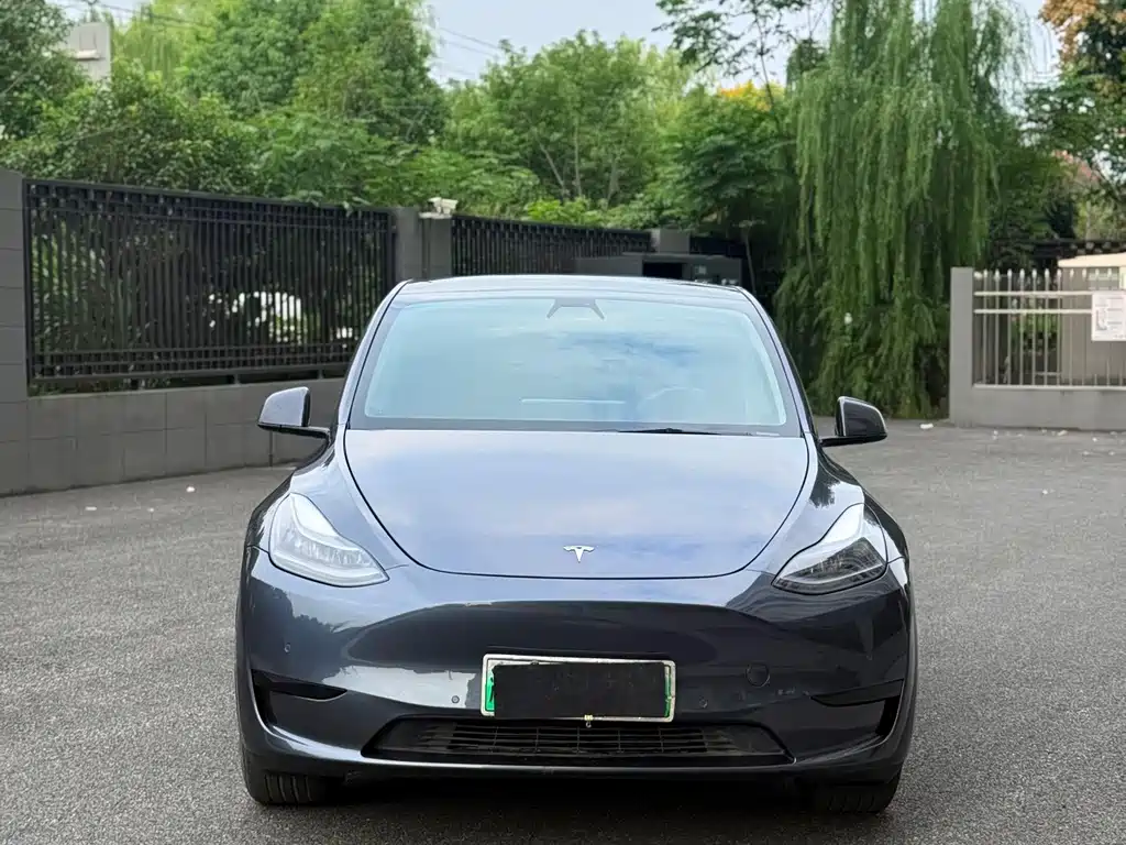 Tesla Model Y — фото 3