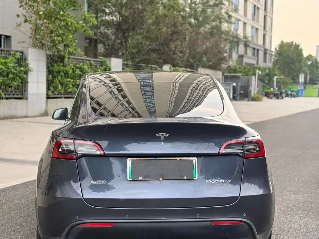 Tesla Model Y — фото 8