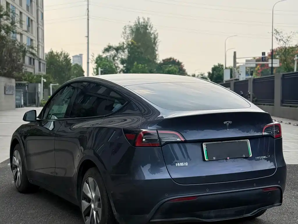 Tesla Model Y — фото 9
