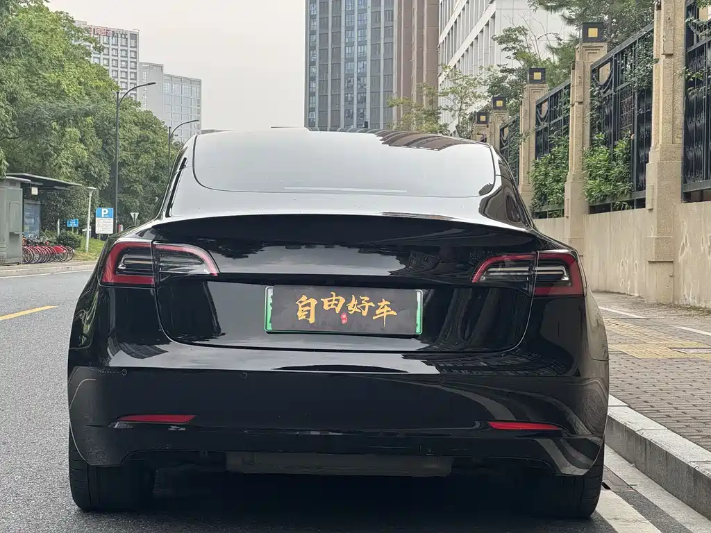 Tesla Model 3 — фото 21