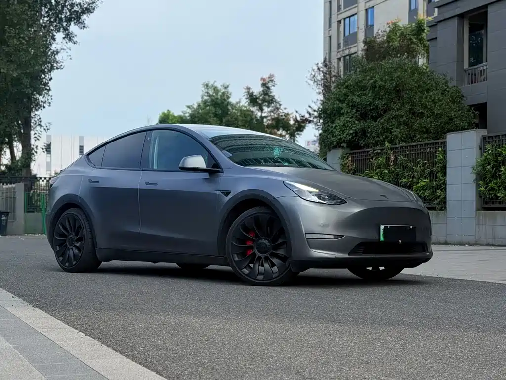 Tesla Model Y — фото 2
