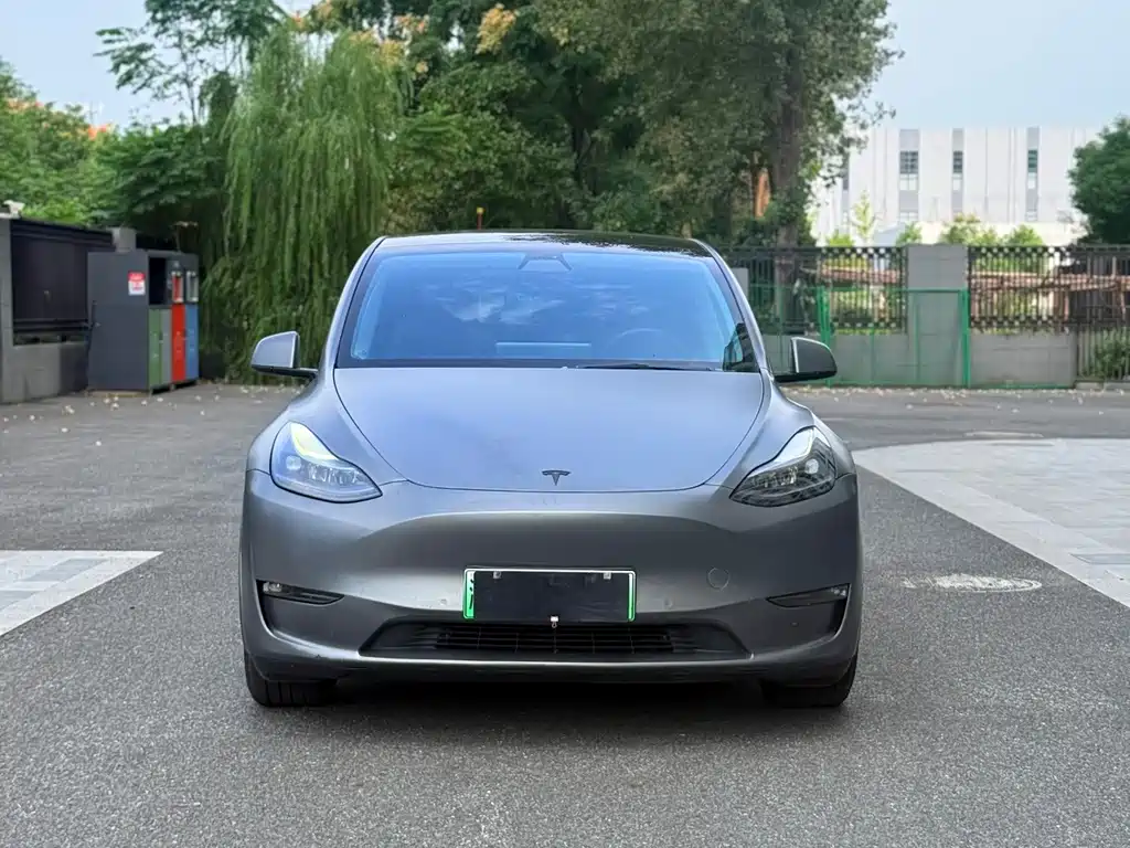 Tesla Model Y — фото 3