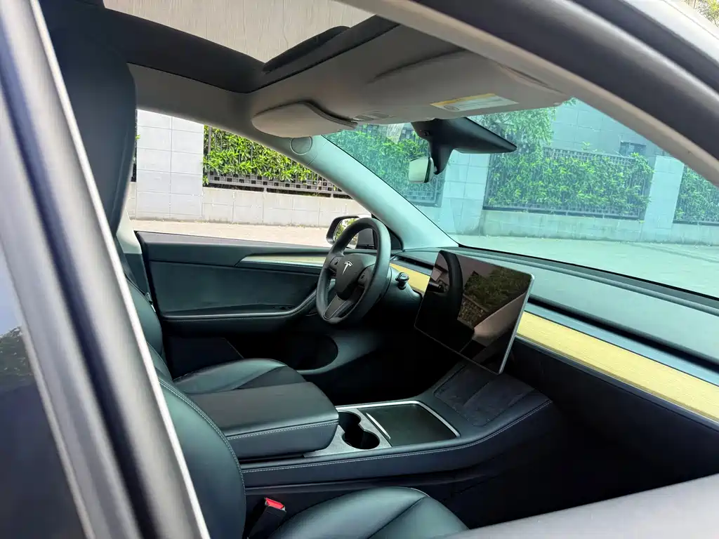 Tesla Model Y — фото 10