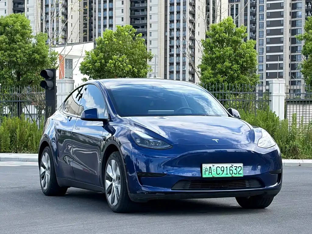 Tesla Model Y — фото 2