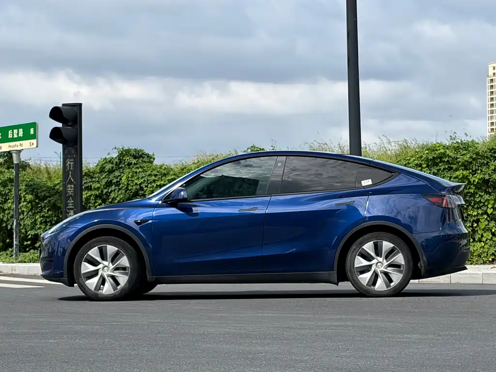 Tesla Model Y — фото 3