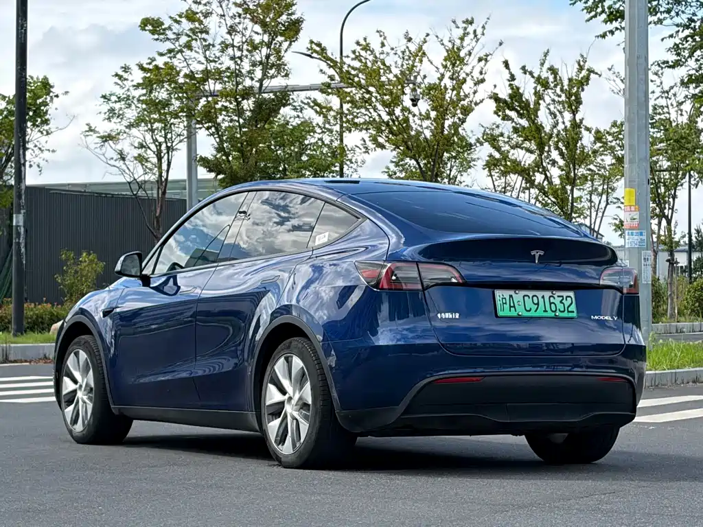 Tesla Model Y — фото 4