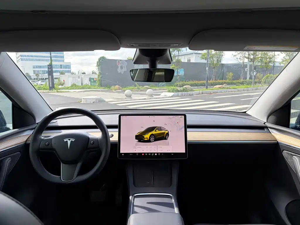 Tesla Model Y — фото 6