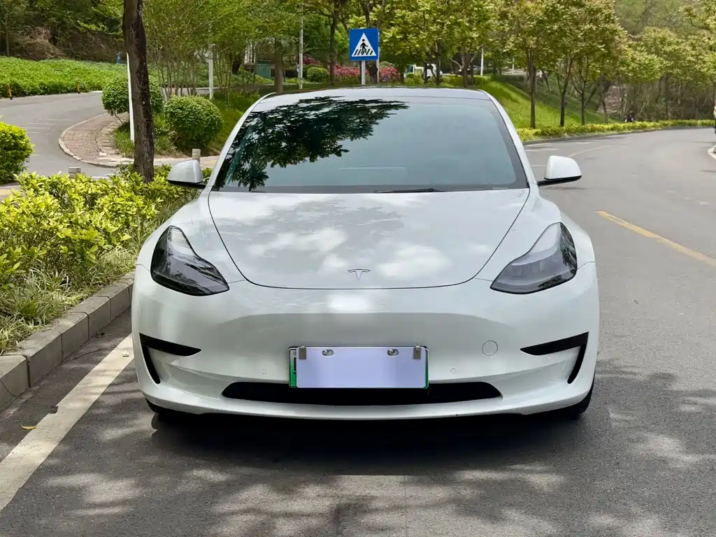 Tesla Model 3 — фото 2