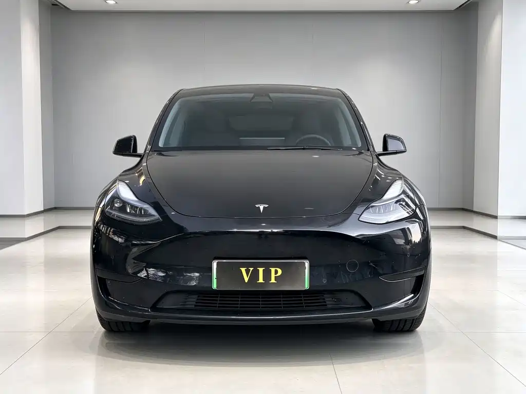 Tesla Model Y — фото 2