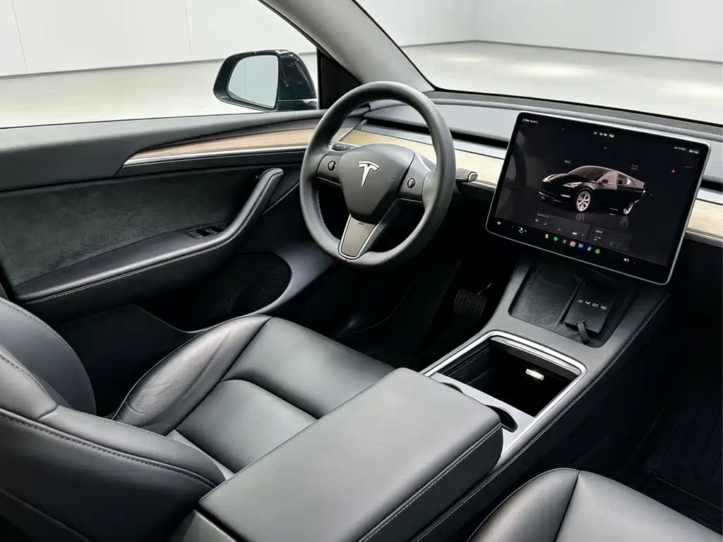 Tesla Model Y — фото 15