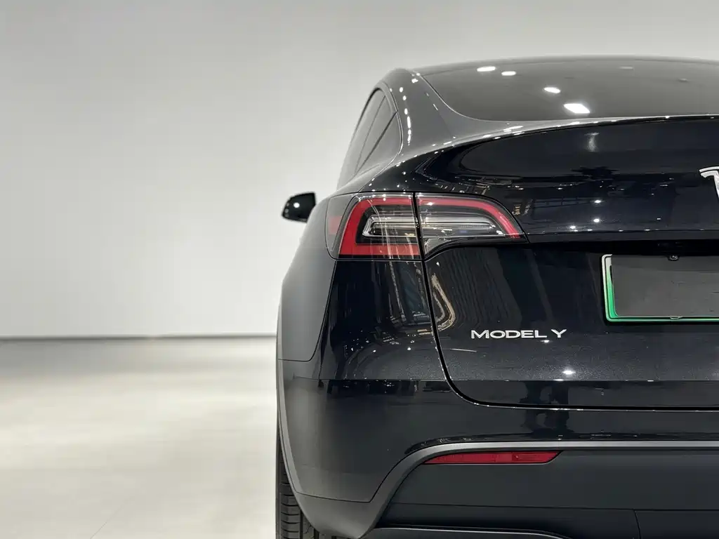 Tesla Model Y — фото 20
