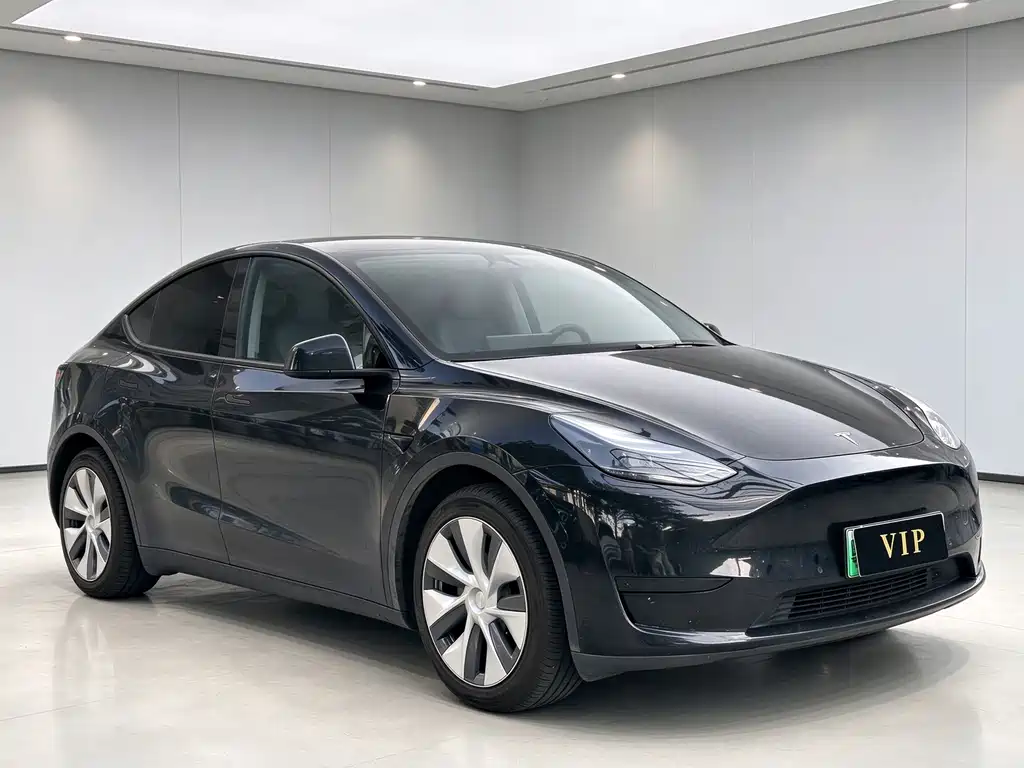 Tesla Model Y — фото 3