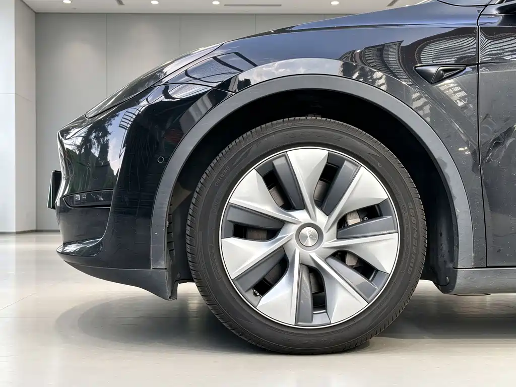 Tesla Model Y — фото 21