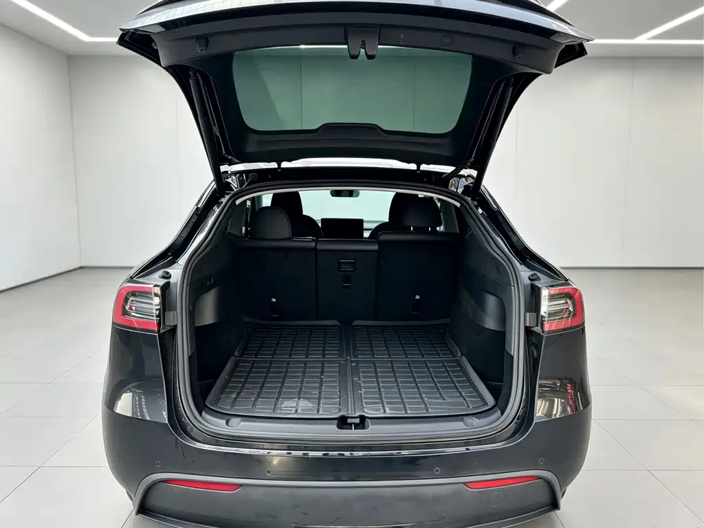 Tesla Model Y — фото 22