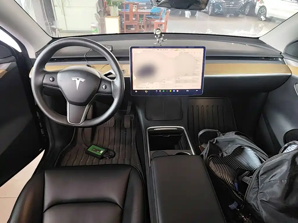 Tesla Model Y — фото 10